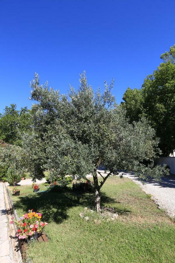 Willa Le Mas Du Vieux Chene Saint-Paul-en-Forêt Zewnętrze zdjęcie